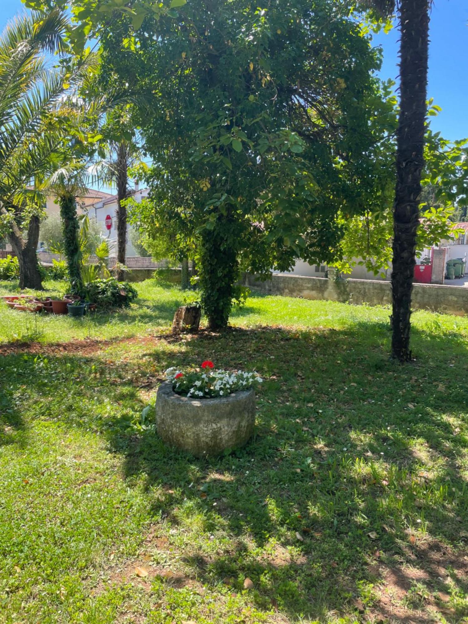 Apartments Bloom Near The Beach Porec Luaran gambar